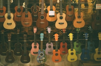 brown acoustic guitars on black steel rack