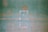 A green textured wall with the words 'NO NUKE' stenciled in orange paint. The words are centered in the upper portion of the image, and there are faint outlines of shapes or patterns below them.