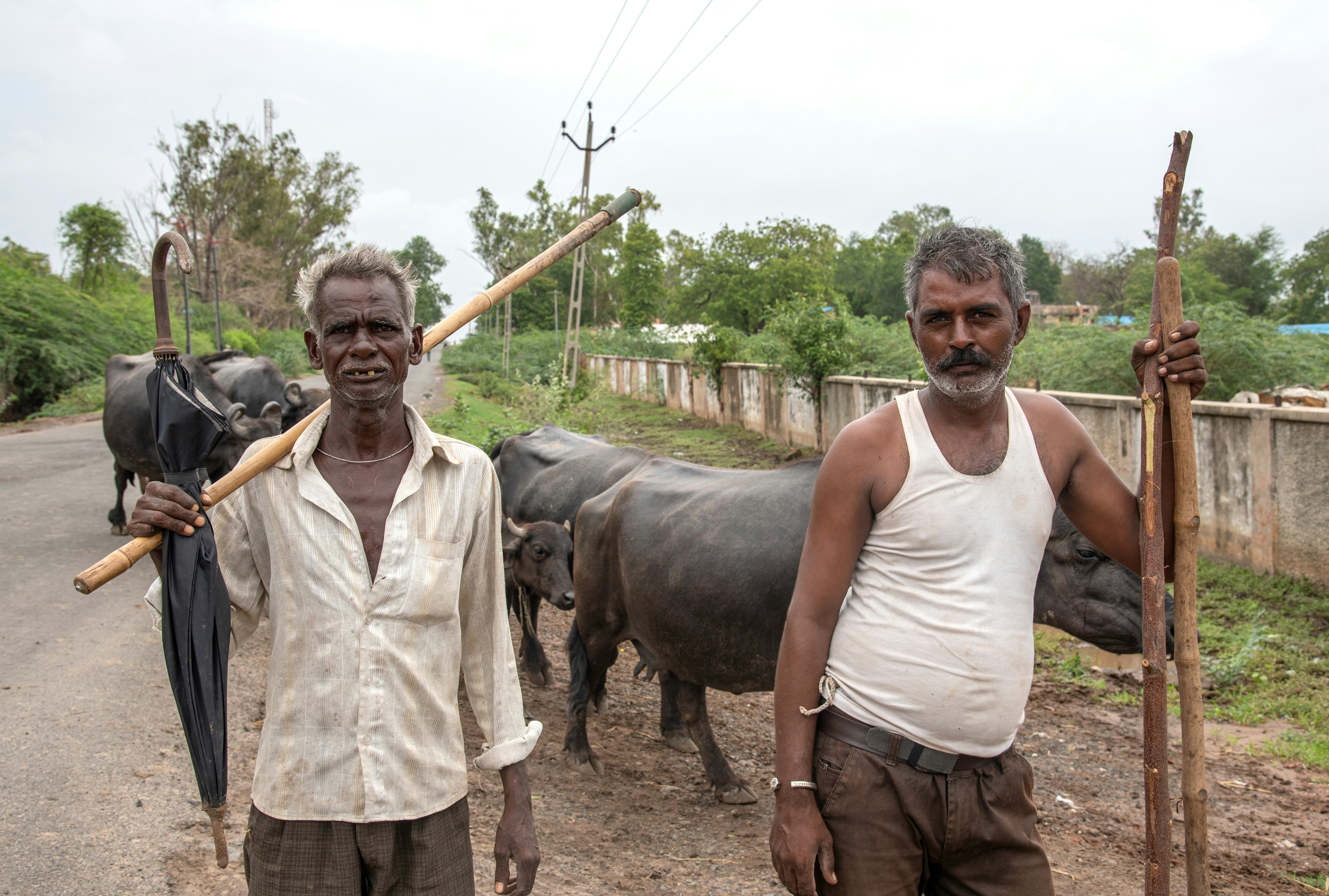 Photo by neildesouza427