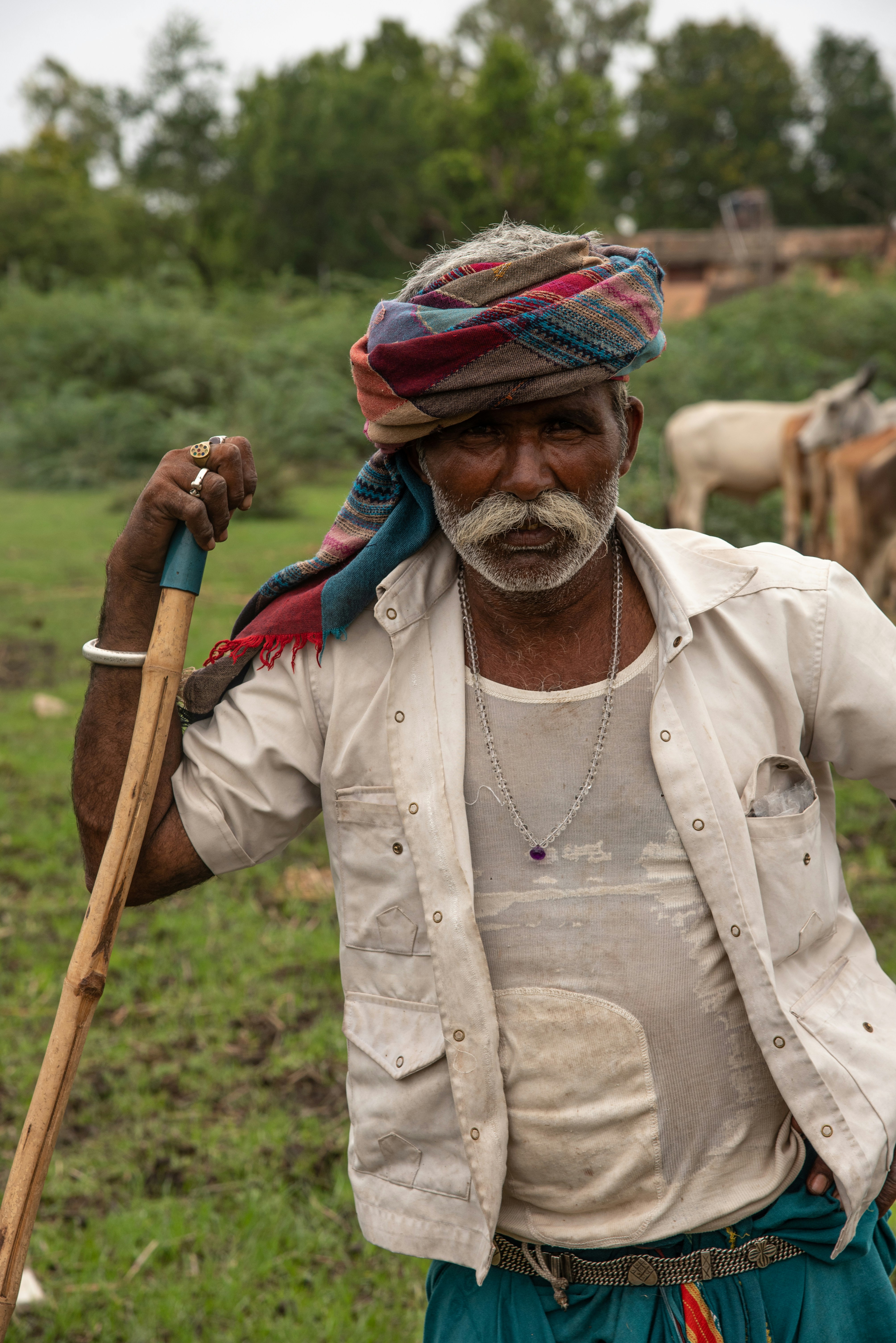 Photo by neildesouza427