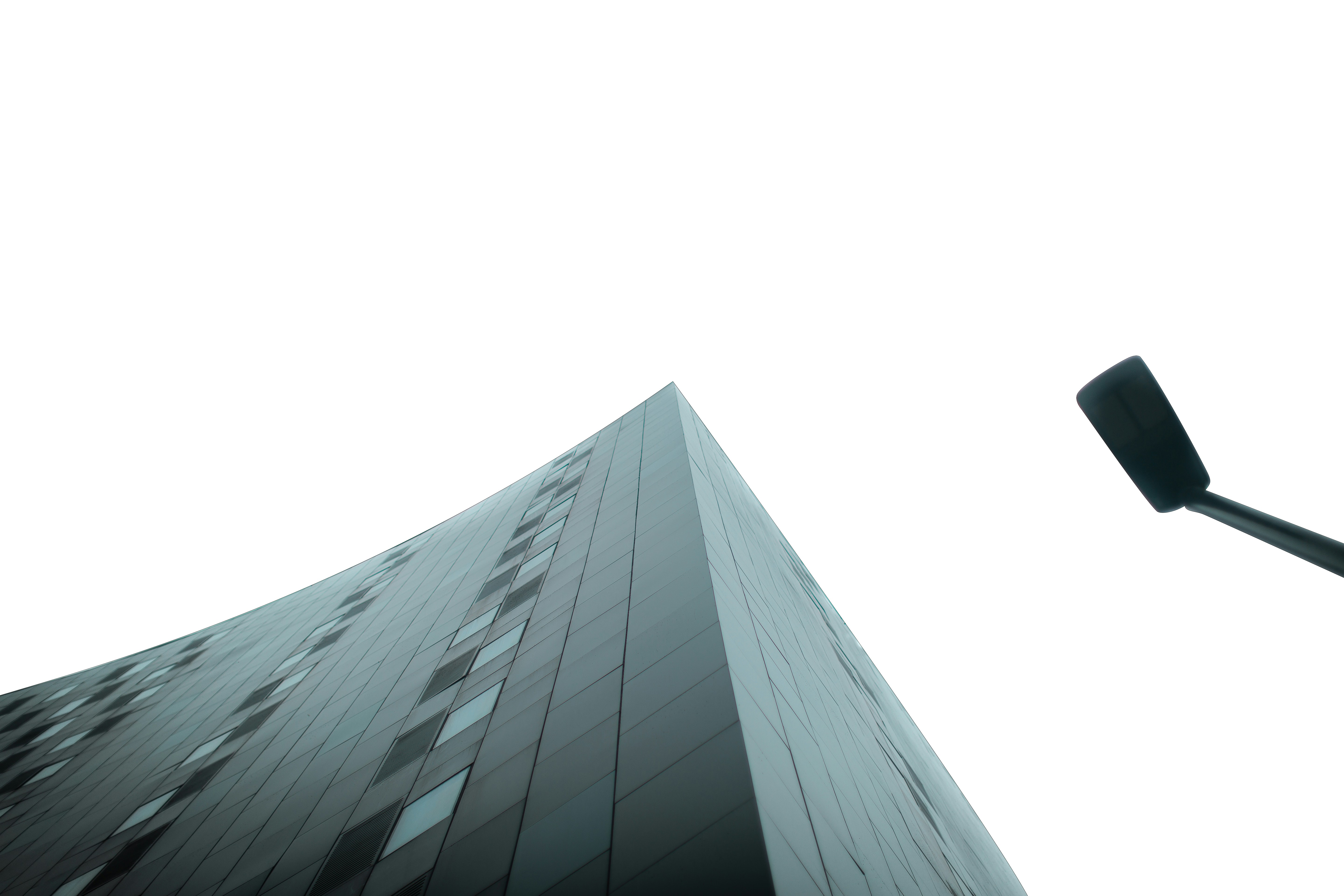 Case study showcasing successful project outcomes