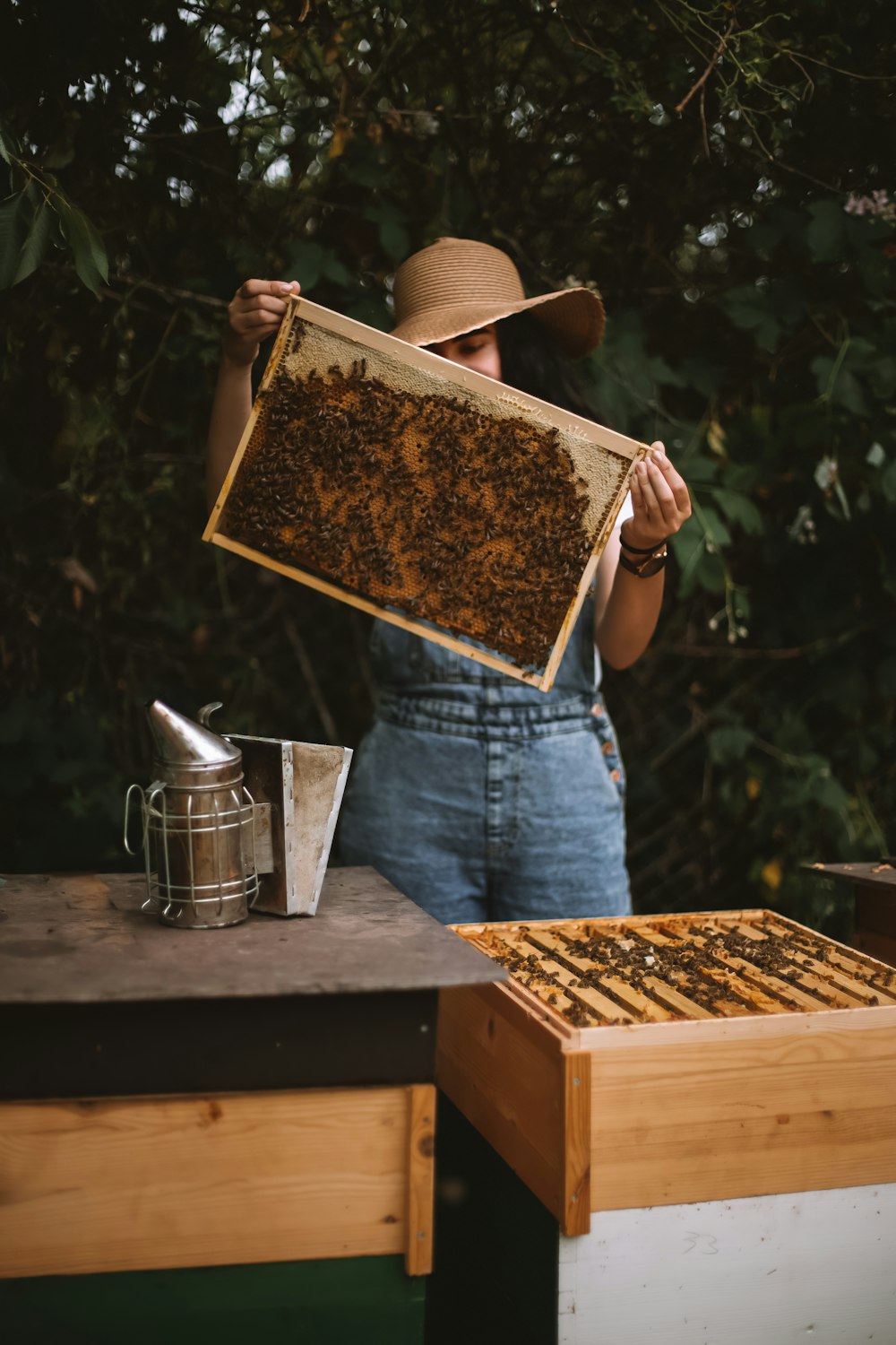 person in blue and white plaid shirt holding brown wooden tray