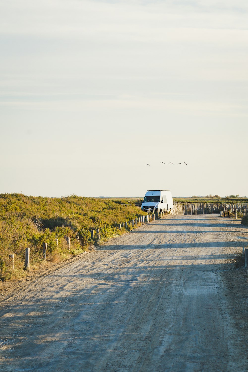 white van on gray asphalt road during daytime