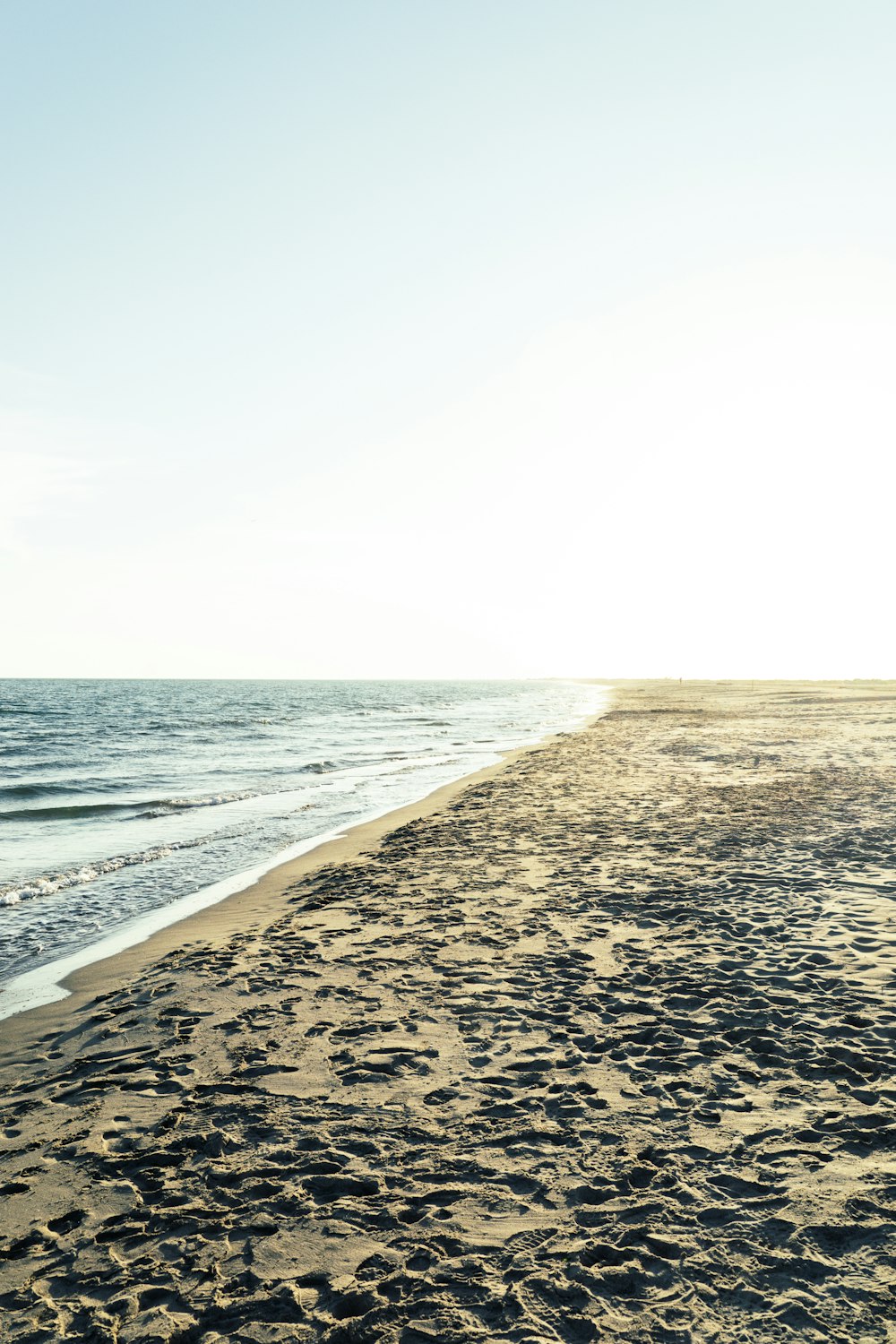 grayscale photo of beach during daytime