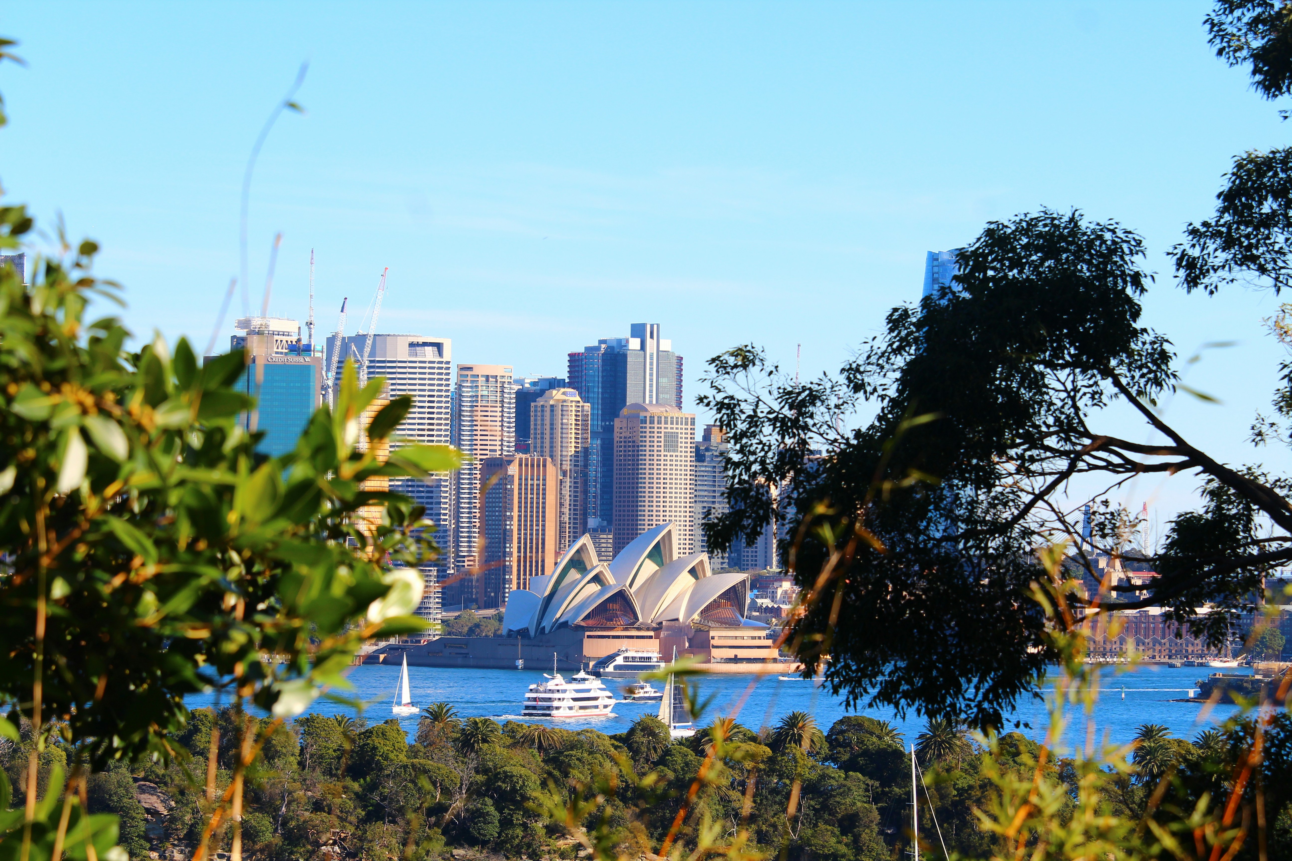 Seasonal Guide to Sydney: Optimal Times & Activities