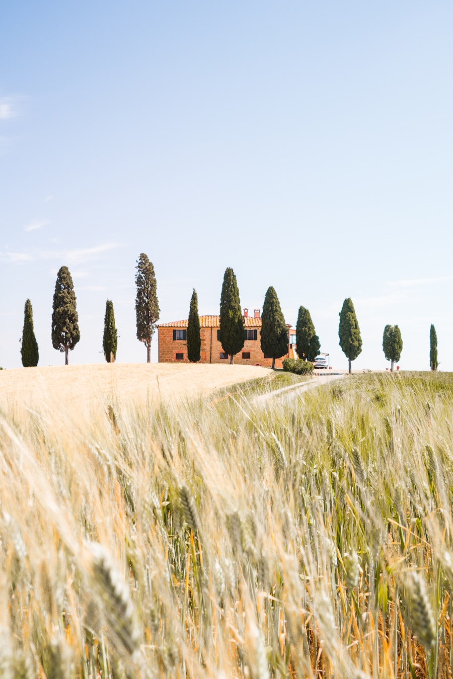 Terre di Nano Val d'Orcia