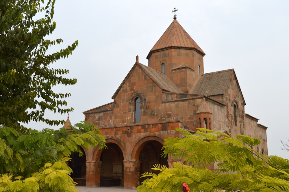 Iglesia de hormigón marrón con plantas verdes