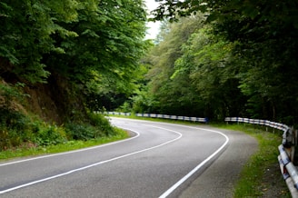 gray concrete road between green trees during daytime