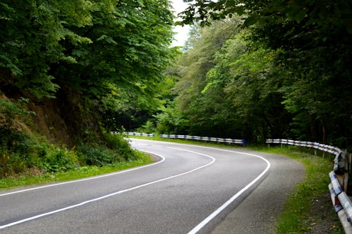 gray concrete road between green trees during daytime