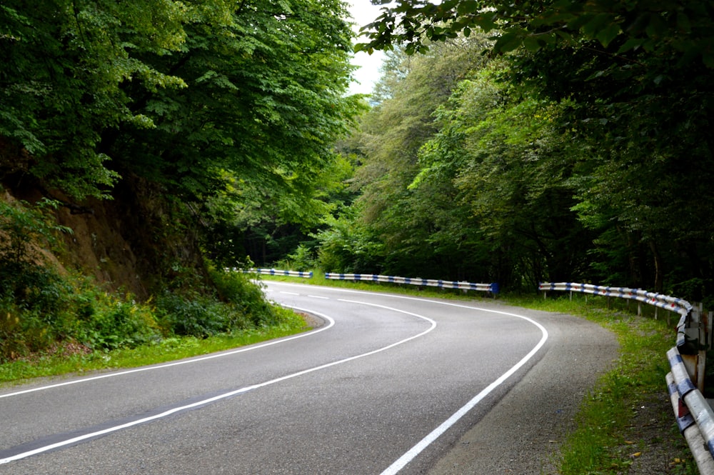 gray concrete road between green trees during daytime