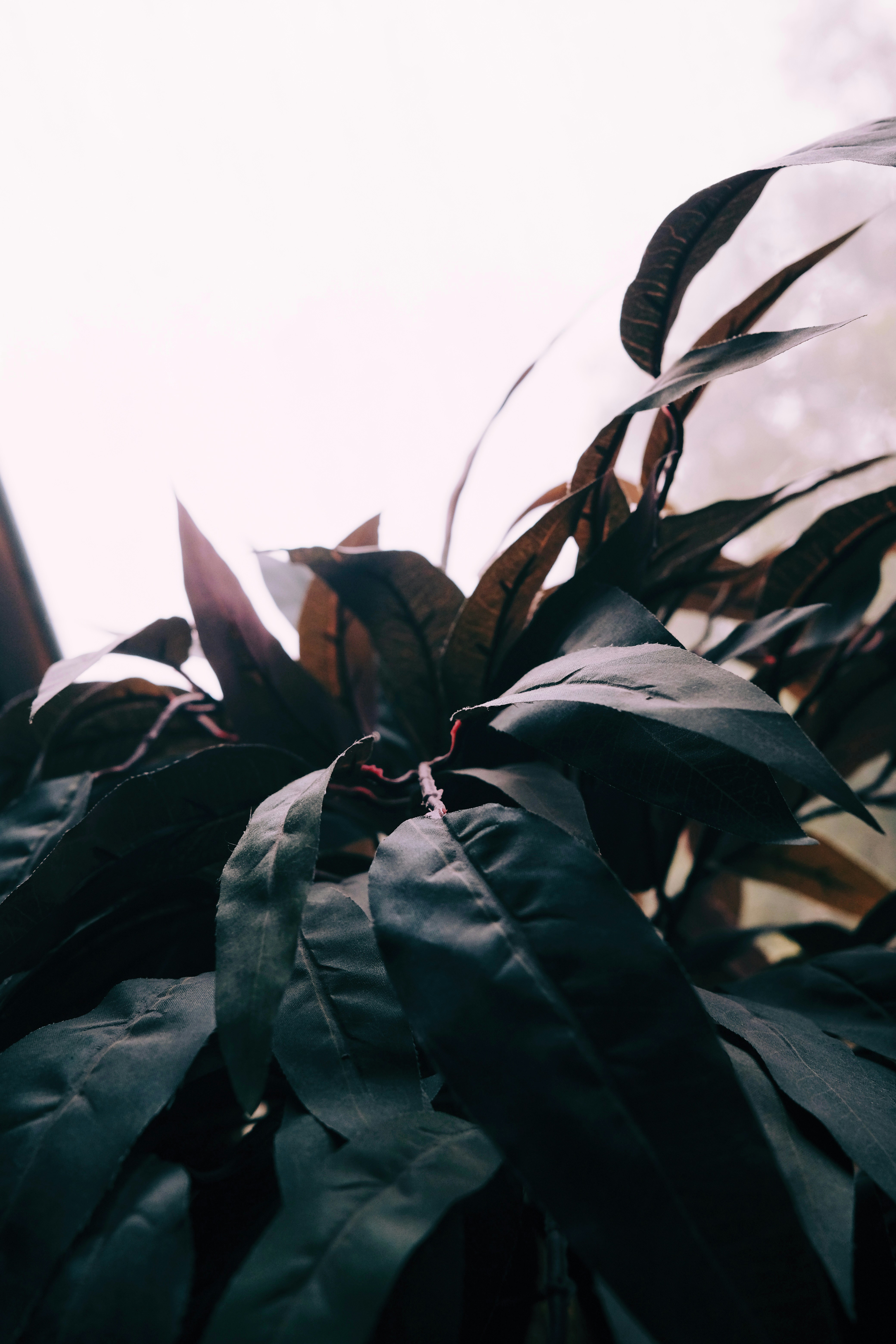 Photo by cherenkevich