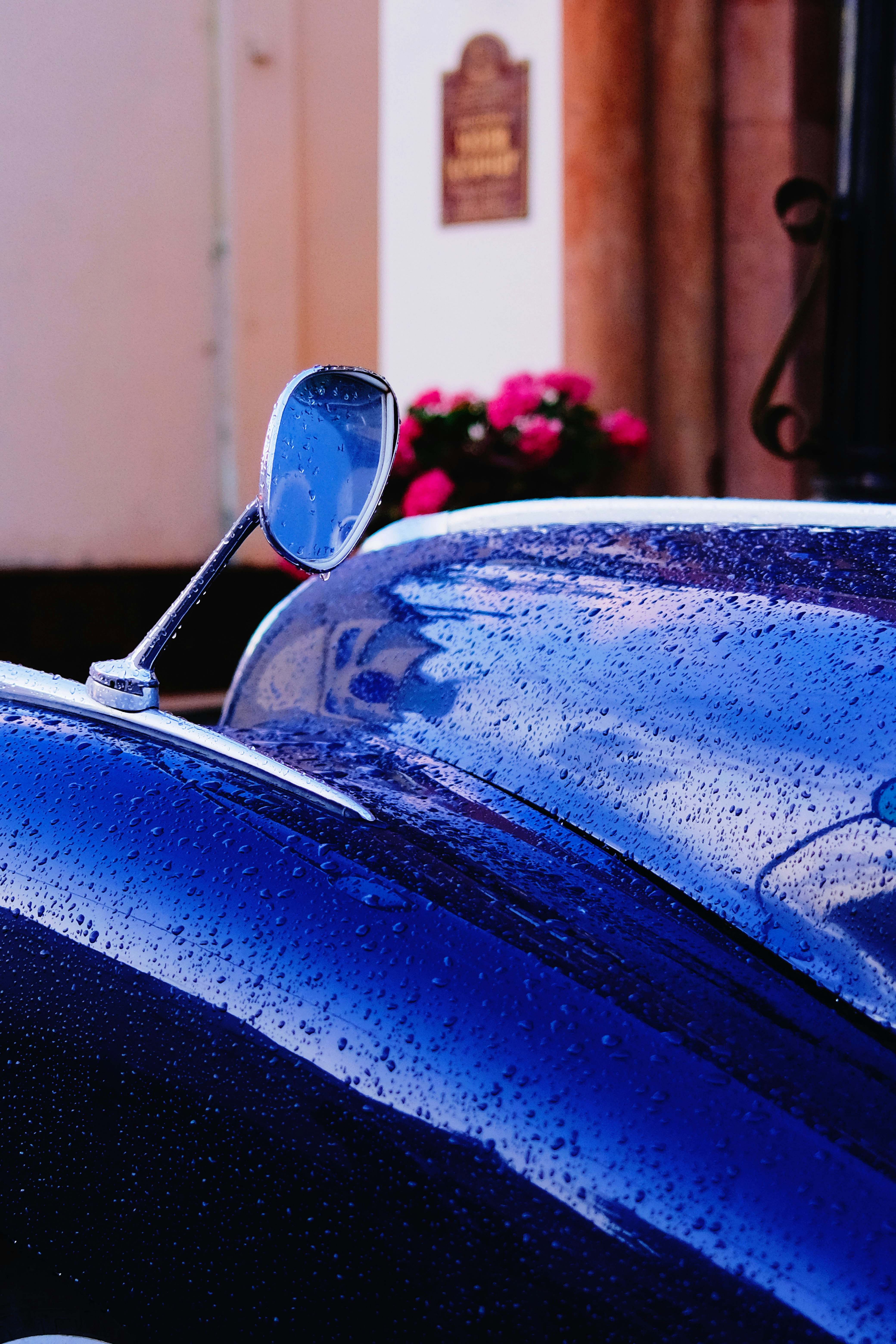 blue car near red flowers during daytime