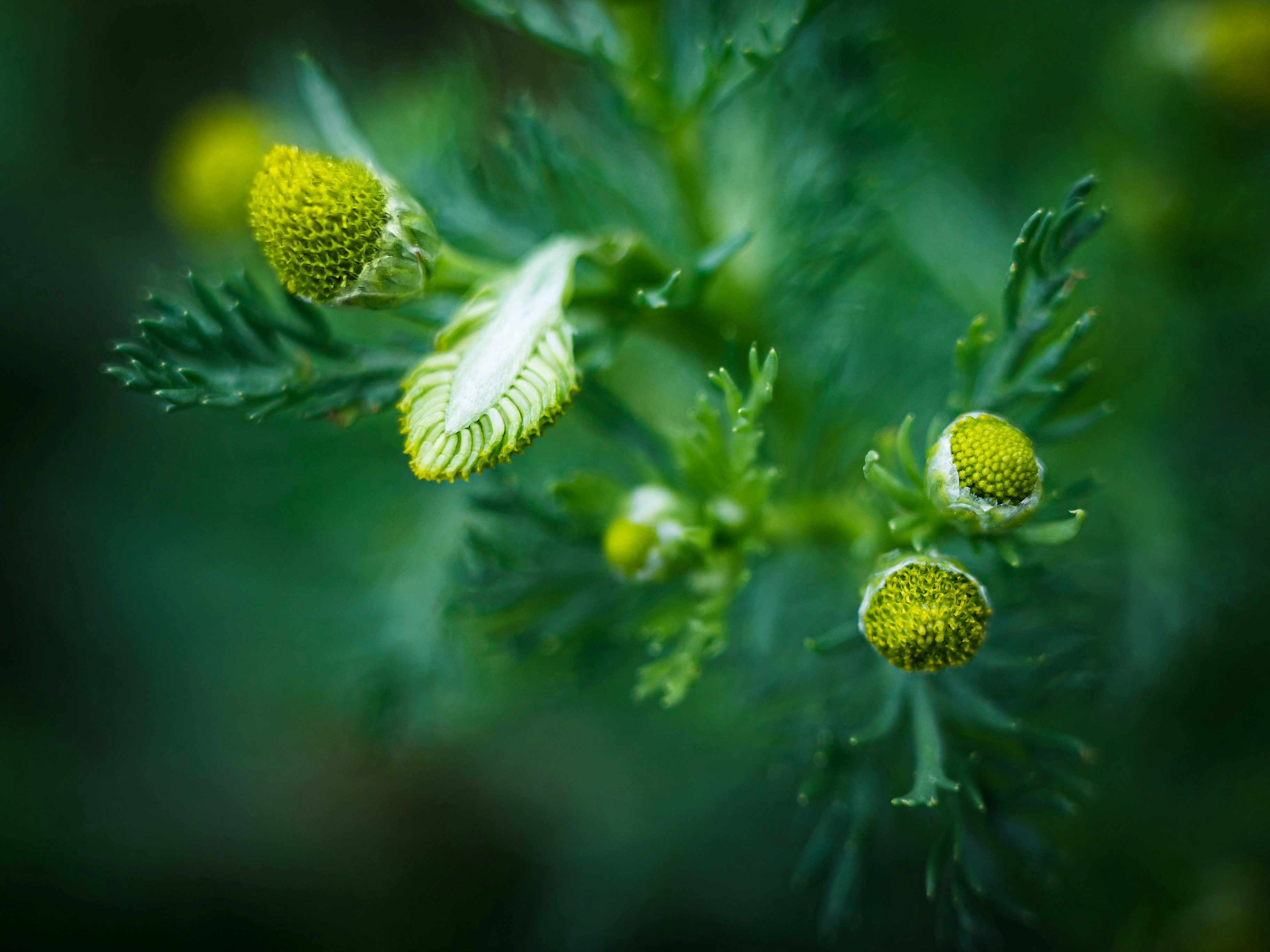 Photo by arkadylukashov