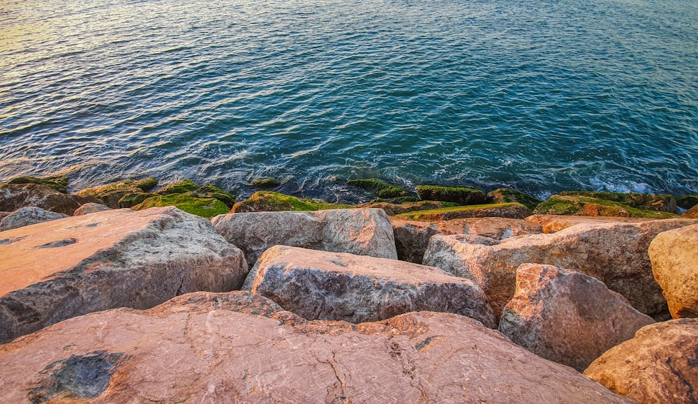 brown and gray rock near body of water during daytime