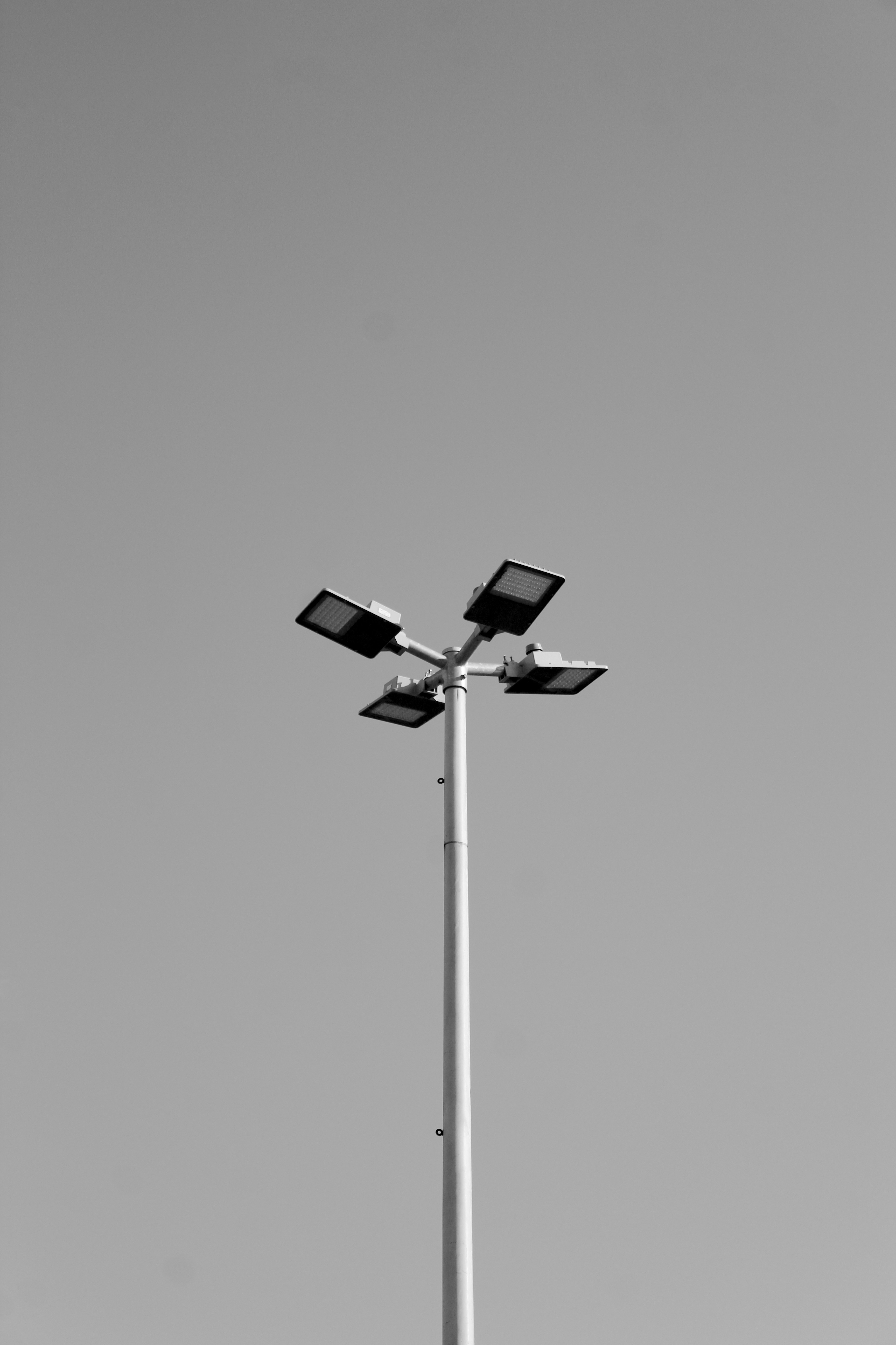 Photo by raphaelbrasileiro