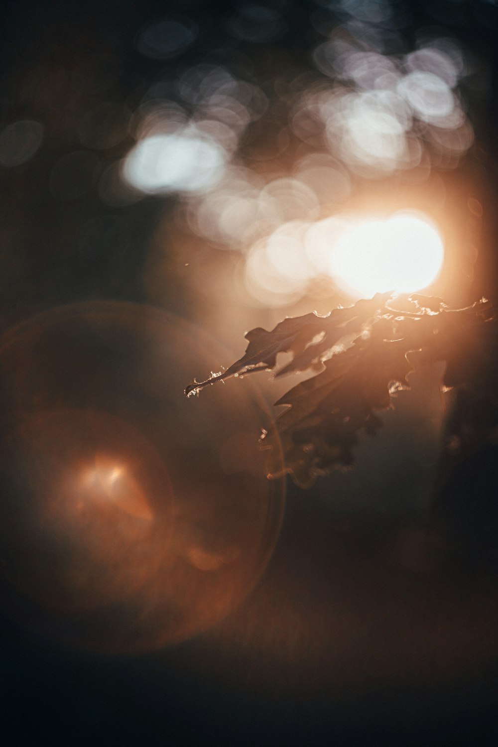 water drop on the ground during night time