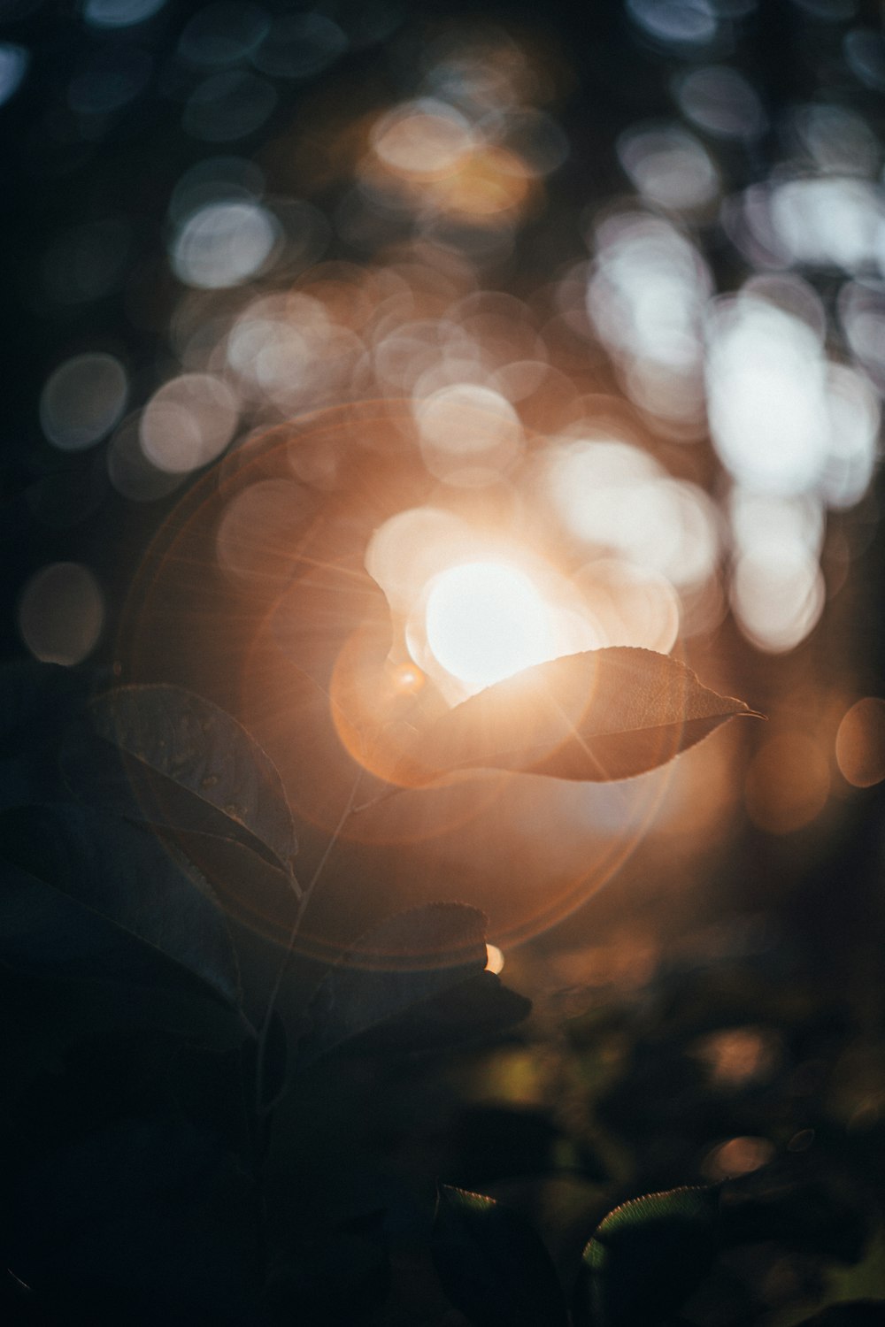 bokeh photography of yellow light