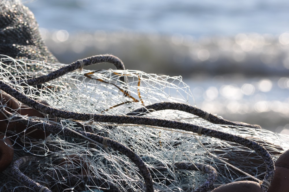 black and brown rope on body of water