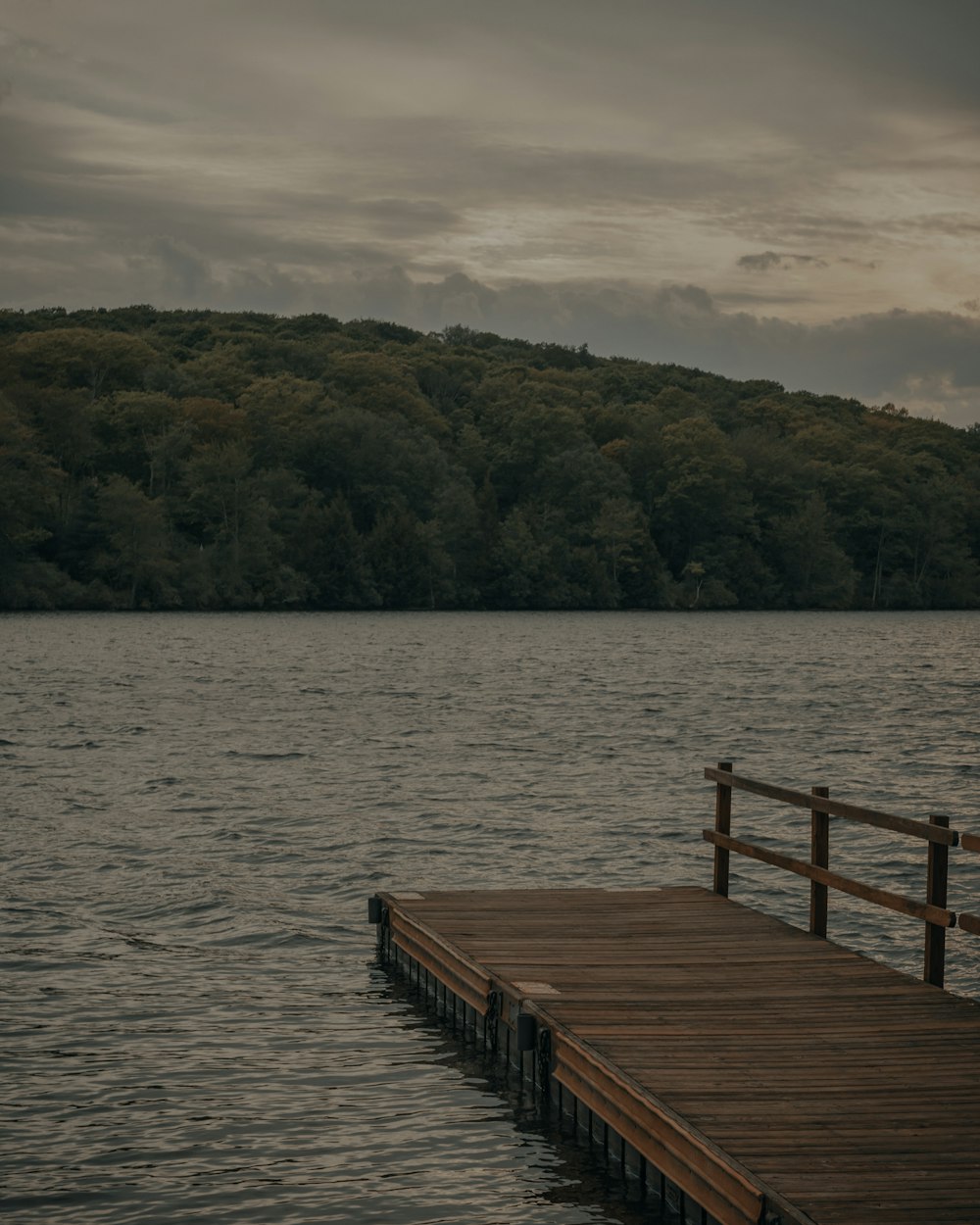 brown wooden dock on body of water during daytime