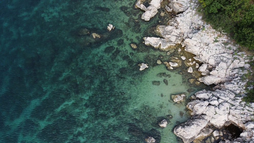 aerial view of body of water