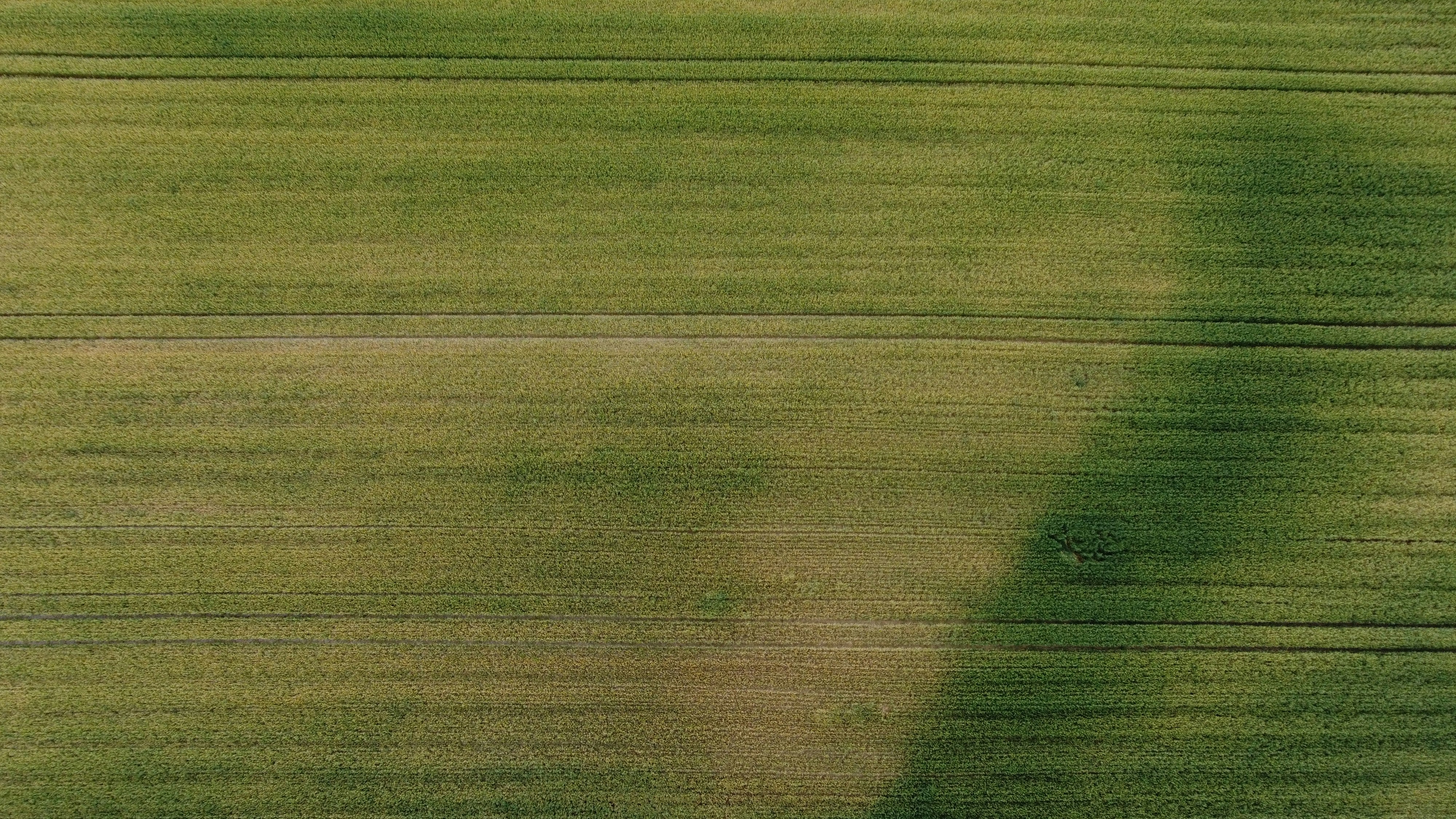 DeFi yield farming and staking illustration