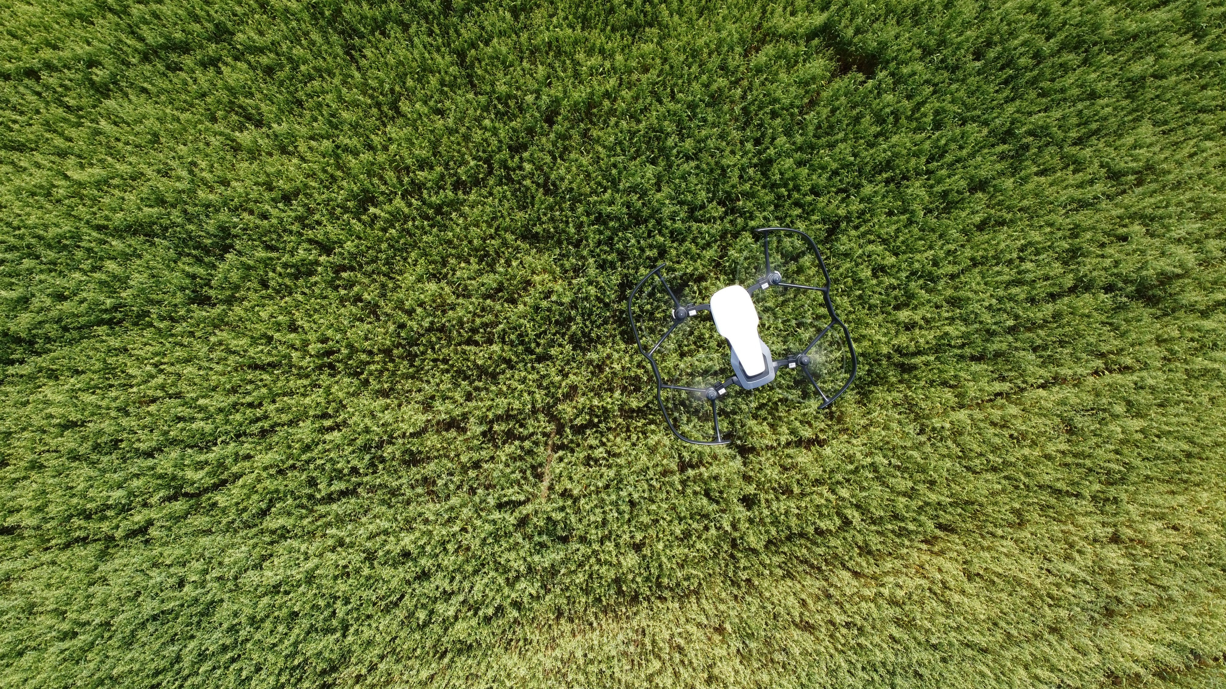 white and black charger on green grass
