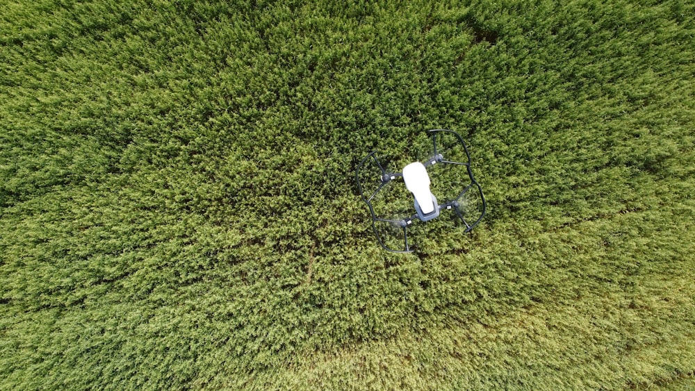 white and black charger on green grass