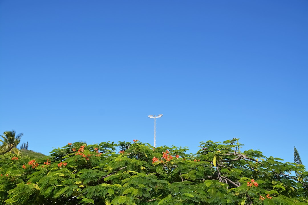 white wind turbine on green plants under blue sky during daytime