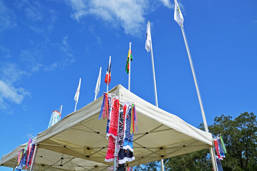 flags on white metal pole under blue sky during daytime