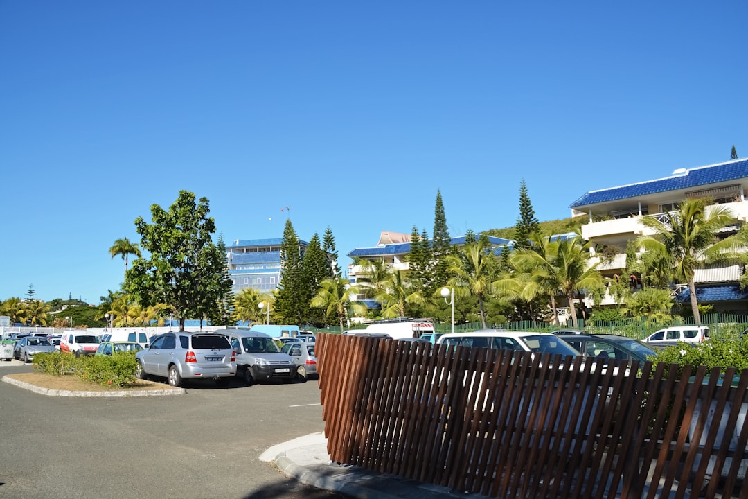 white car parked near green trees during daytime