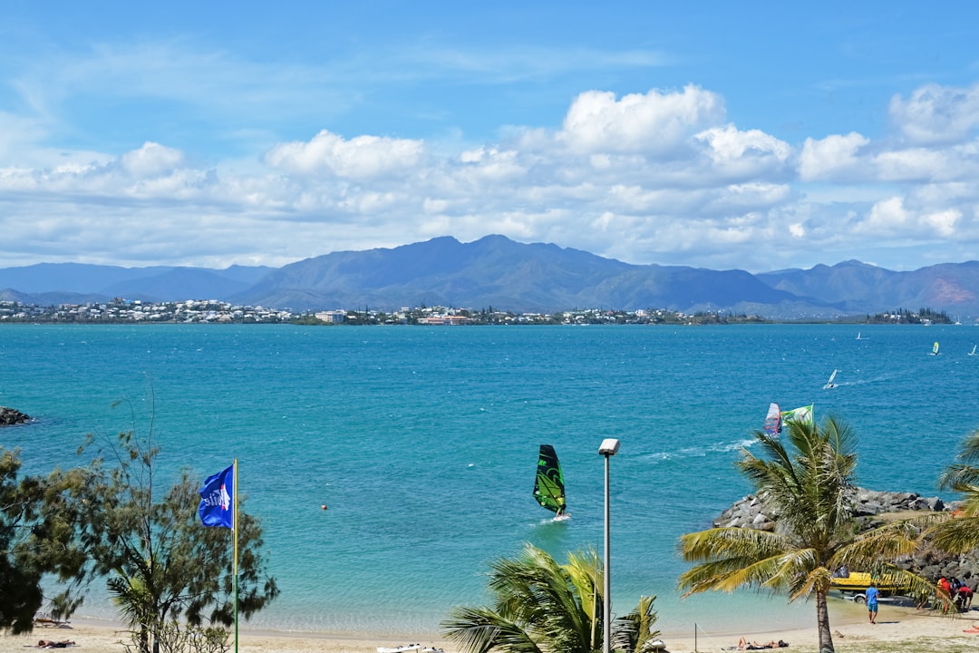 green palm tree near body of water during daytime