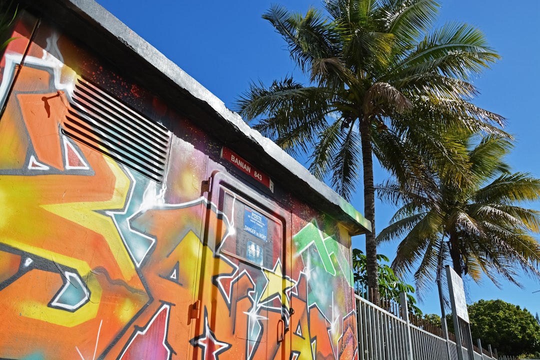 green palm tree beside graffiti wall