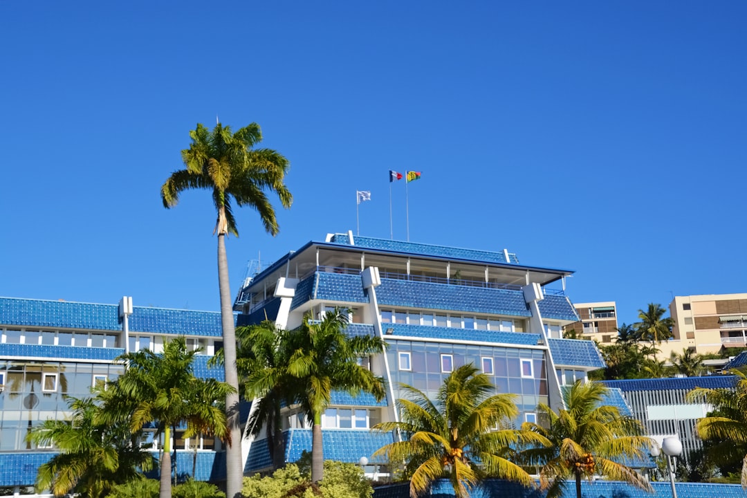 white concrete building near palm trees during daytime