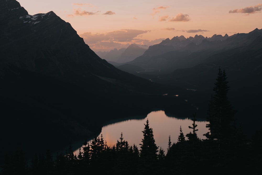 green trees and mountains during daytime