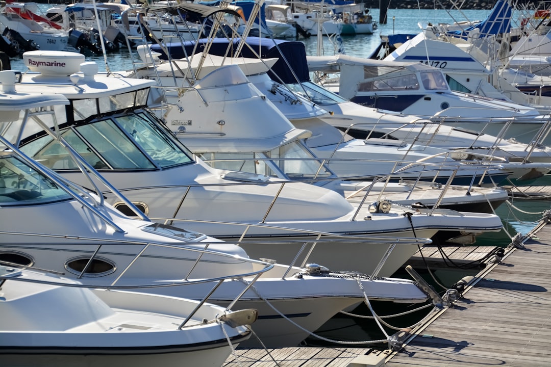 white and brown boats on dock during daytime