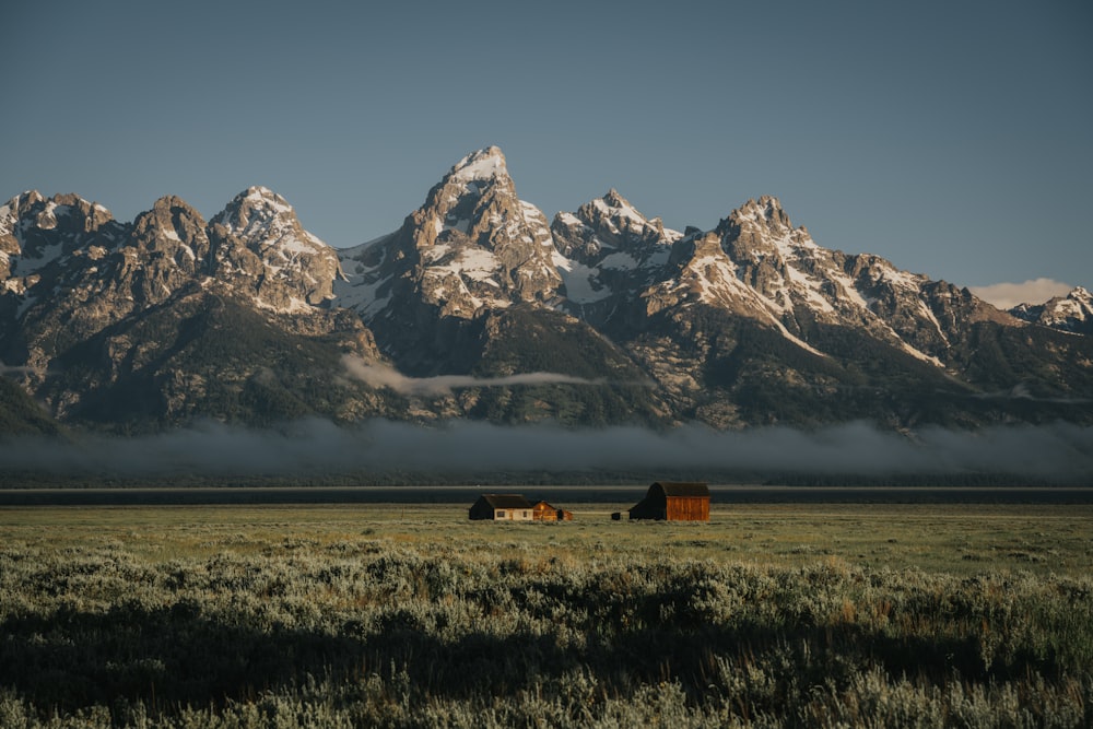 montagnes brunes et blanches sous le ciel bleu pendant la journée