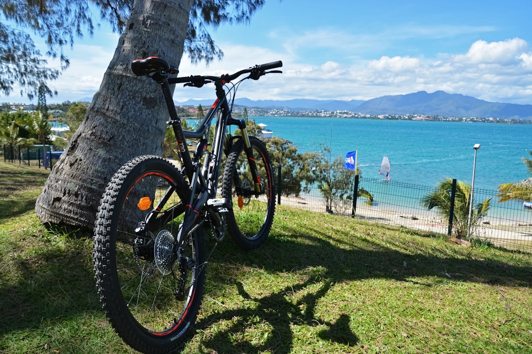 black and red mountain bike on green grass near body of water during daytime