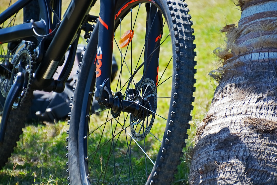 black and red mountain bike wheel