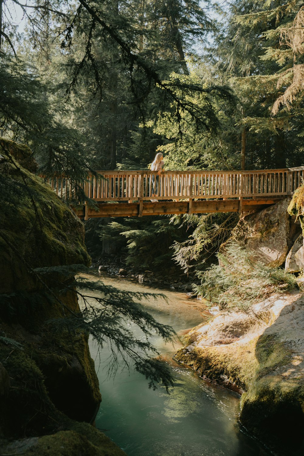 brown wooden bridge over river