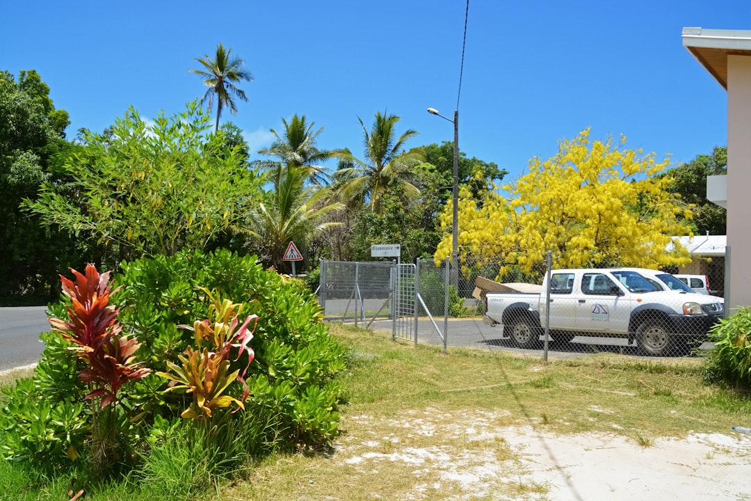 white crew cab pickup truck parked near green trees during daytime