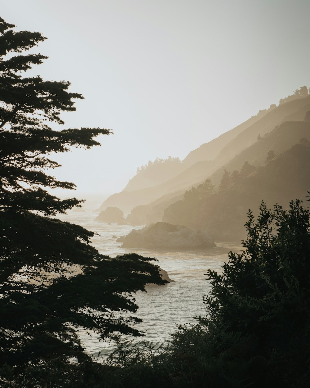 green trees near body of water during daytime