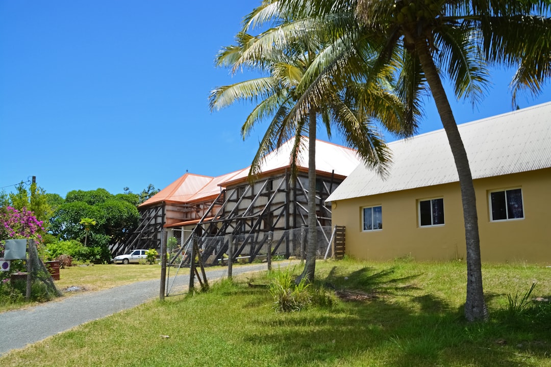 palm tree near white concrete house