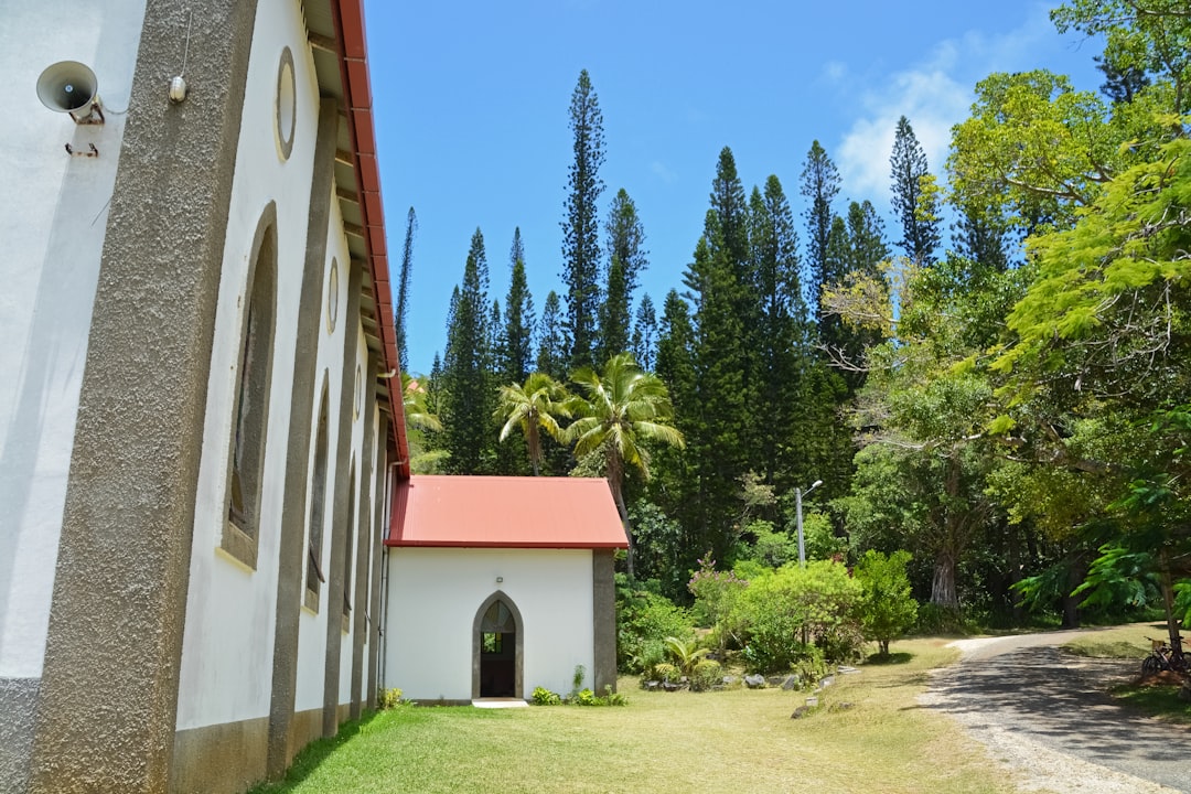 red and white concrete building near green trees during daytime