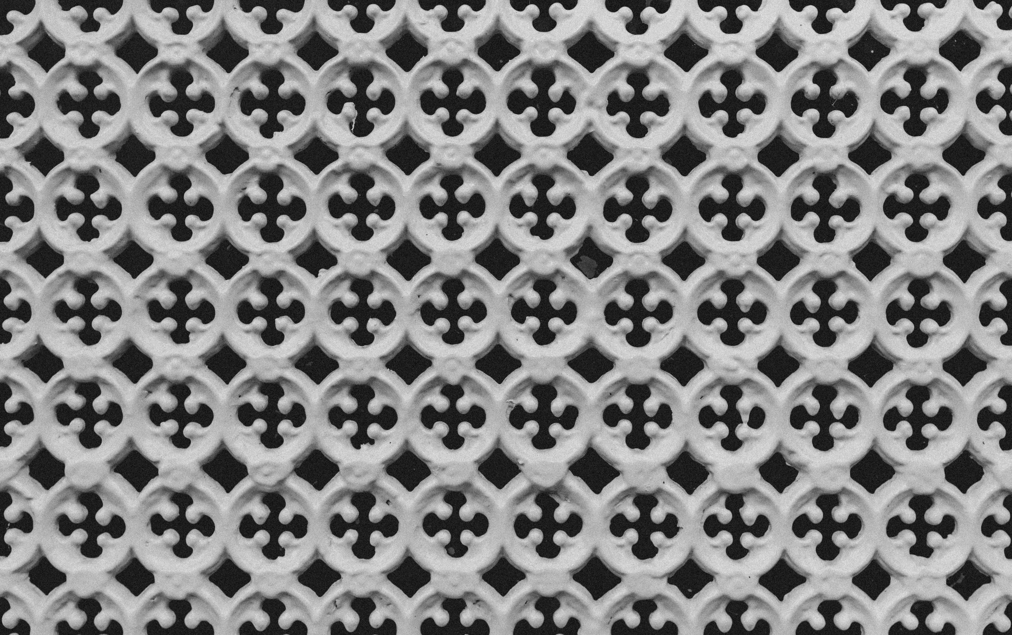 Photo by moisamihai092