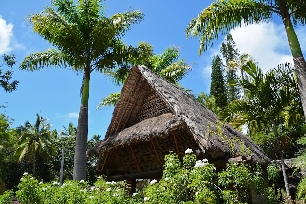 brown nipa hut near palm trees during daytime
