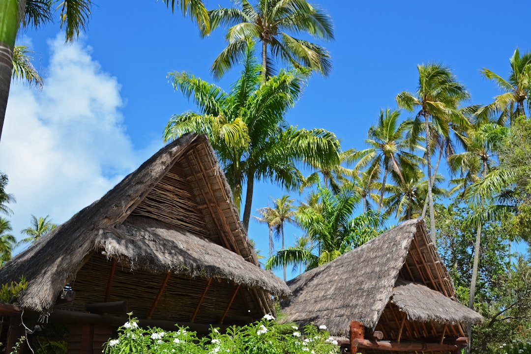 brown nipa hut near palm trees under blue sky during daytime
