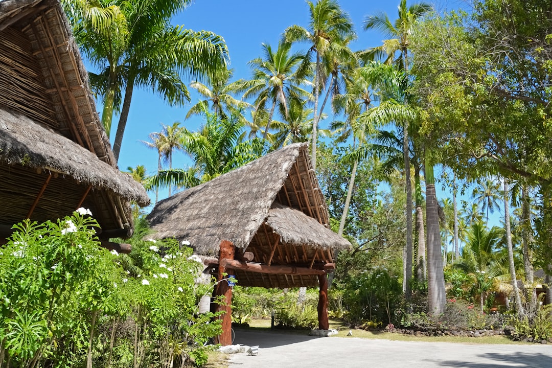 brown nipa hut near palm trees during daytime