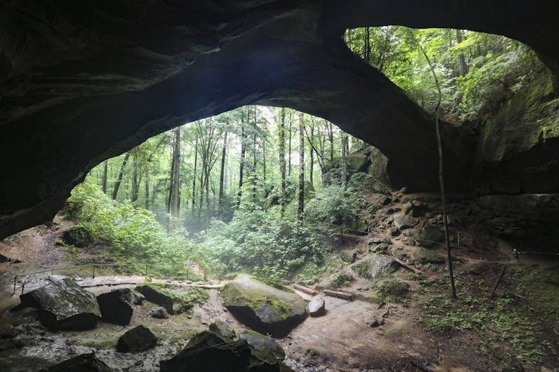 Healing Forest Trail.