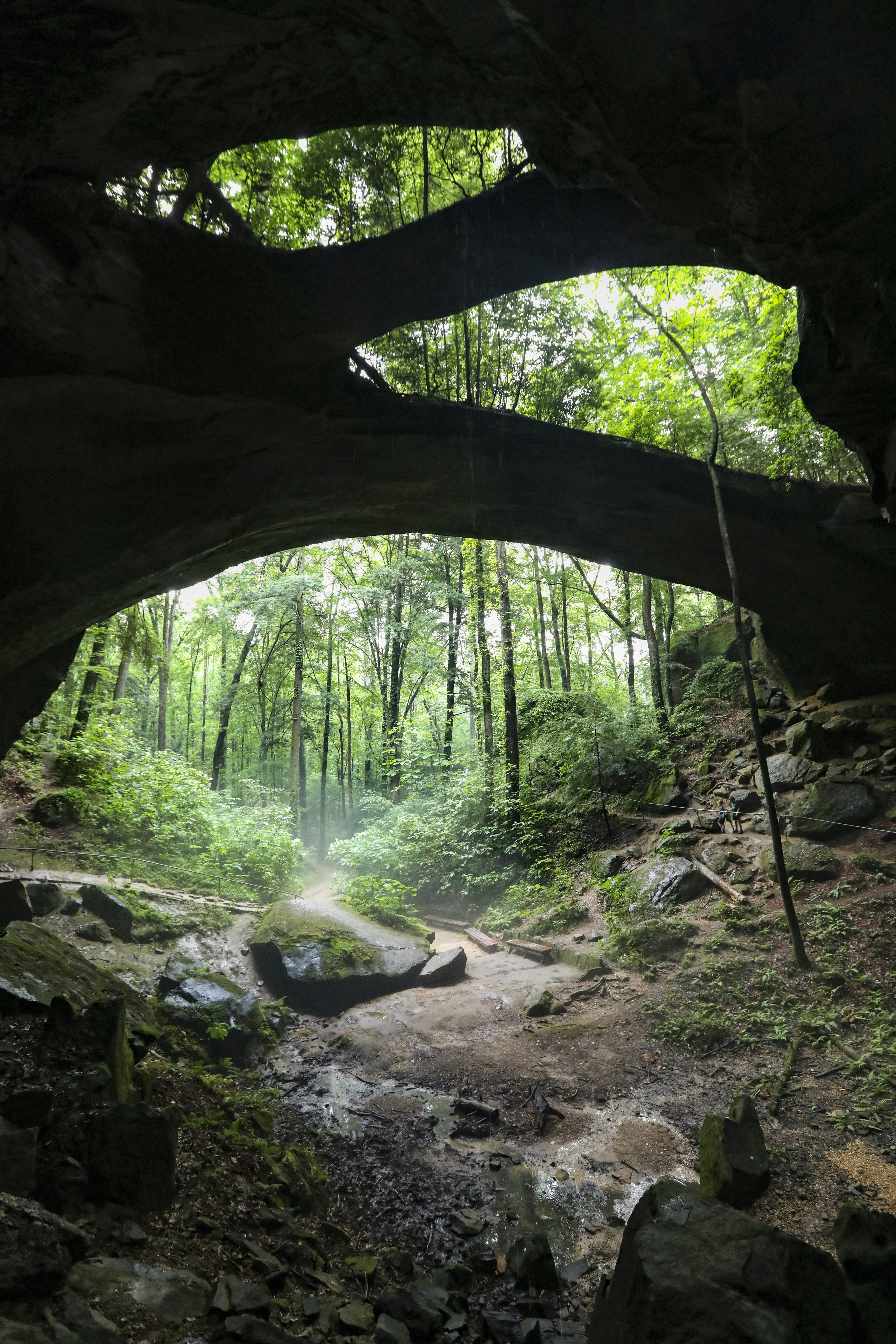 Photo by rocinante_11