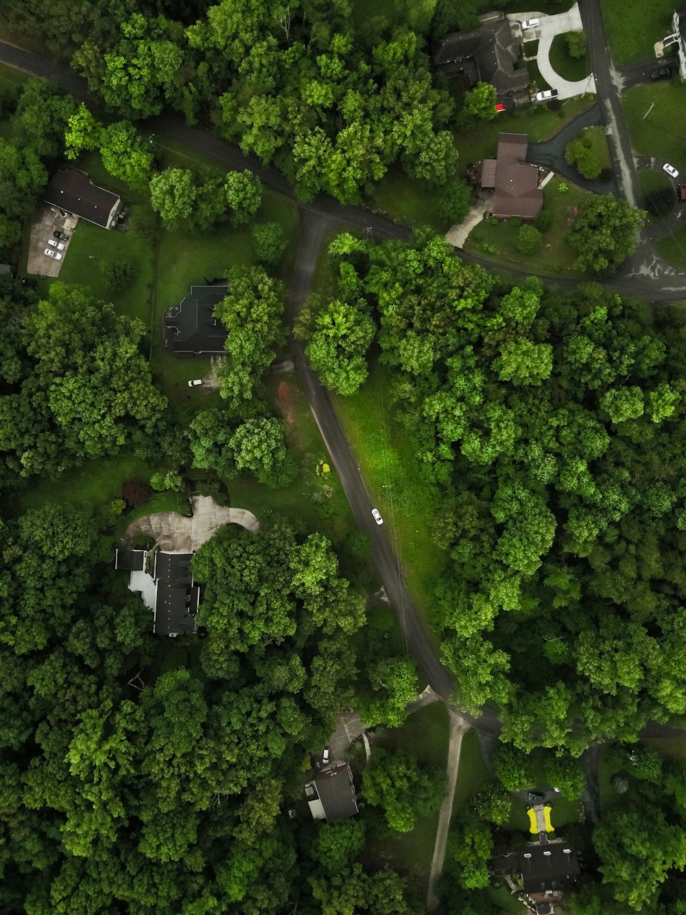 green trees on top of white building